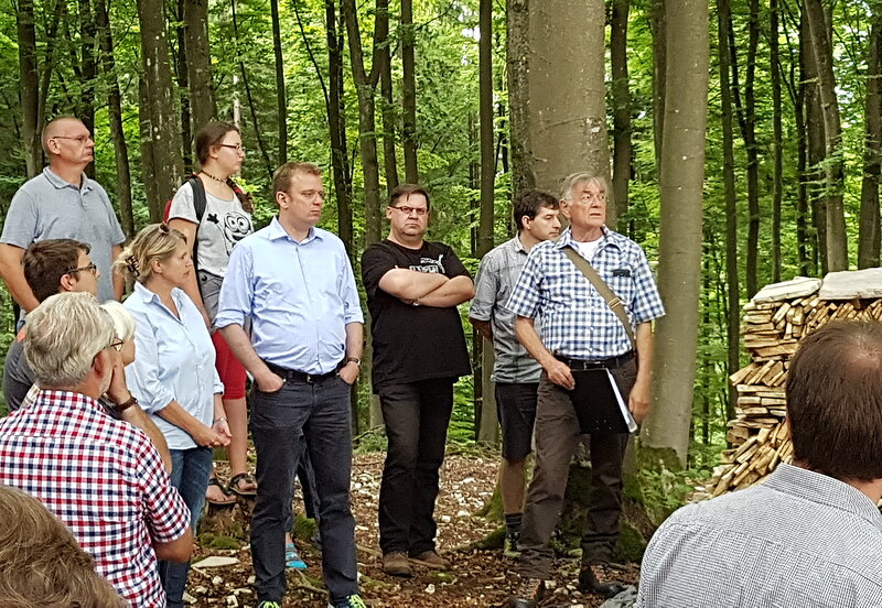 Unterwegs im Wald