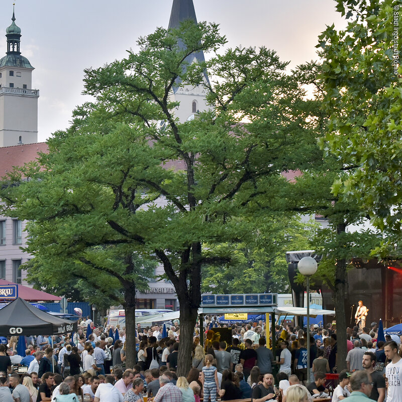 Auf 16 Bühnen bzw. Veranstaltungsorten wird den Besuchern ein un-terhaltsames und abwechslungsreiches Programm geboten. Die Bands und Musiker aller Musikrichtungen lassen Sommer- und Tanzstimmung aufkommen. Zahlreiche Performancekünstler, Tänzer, Zauberer, Jongleure und Stelzengänger verzaubern die Gäste und laden zum Mitmachen ein.